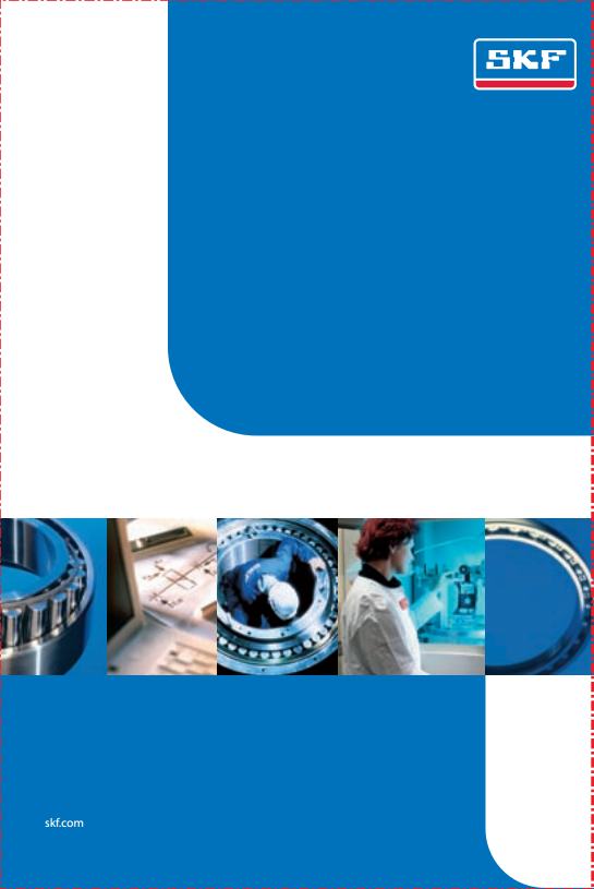 SKF轴承型录